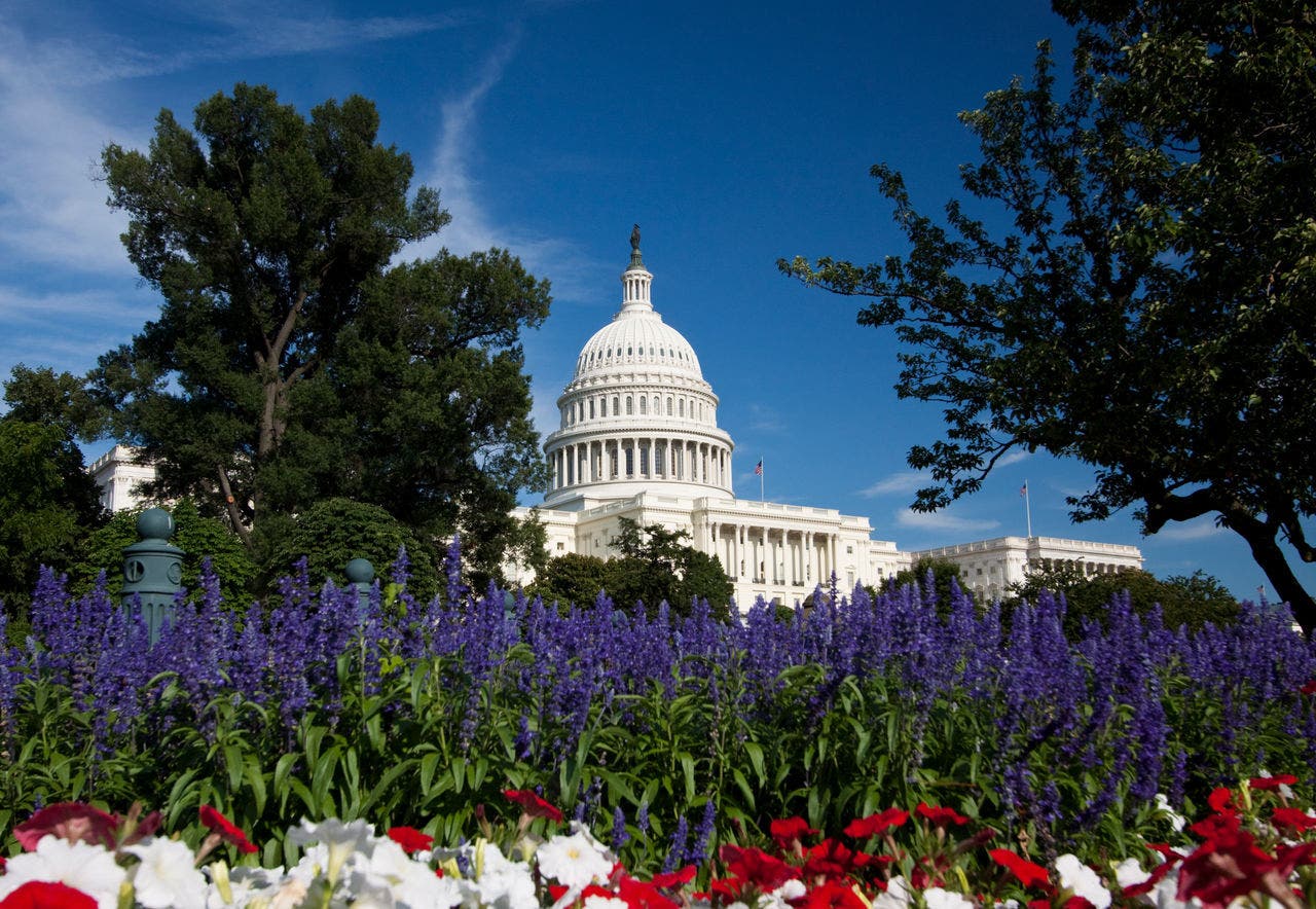 Image of US Capitol Building