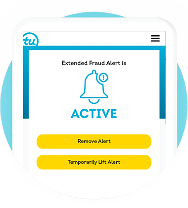 fraud alerts banner