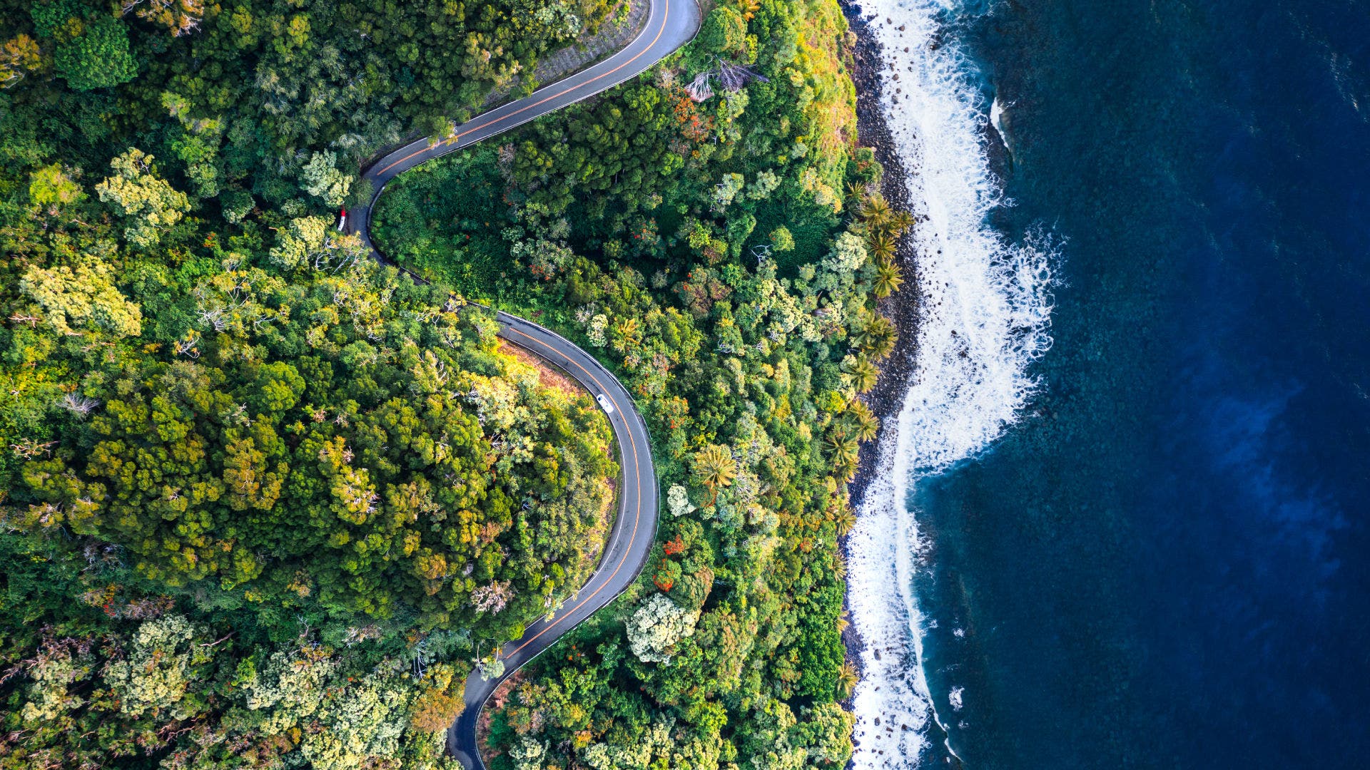 Overhead photo of a road winding through the woods next to the ocean