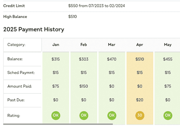 Credit report example displaying adverse information, including negative account history and derogatory credit items.