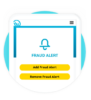 fraud alert banner