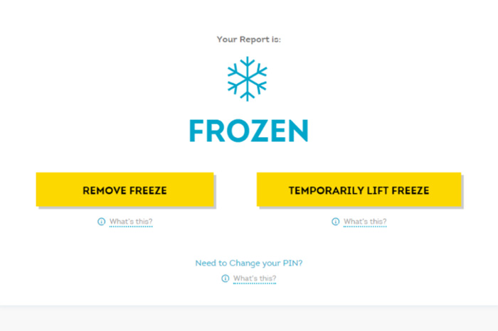 Report is Frozen Screen