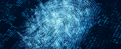 Digital thumbprint